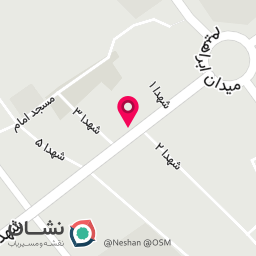 عکس کیف و کفش شروین