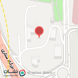 عکس دکتر شیما رییسی