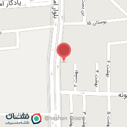 عکس دکتر حسنعلی حکیمی نژاد-ستون فقرات