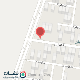 عکس شهید نجفی