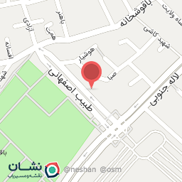 عکس قالیشویی ادیب اصفهان