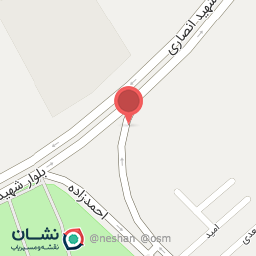 عکس پیتزا دنیز