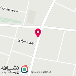 عکس مکانیکی استاد اسد