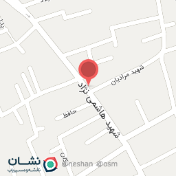 عکس در یخچال