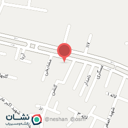 عکس پیتزا تاش نیس