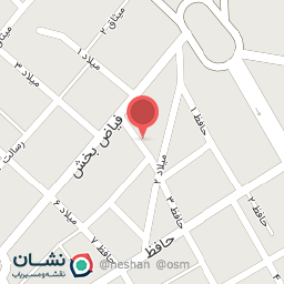 عکس حسینه شهید هاشم نژاد