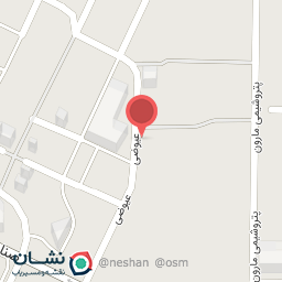 عکس مسترویچ