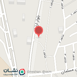 عکس اتو سرویس برادران حسینی