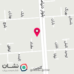 عکس کیف و کفش آلفا