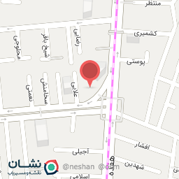 عکس مرغ بریانی