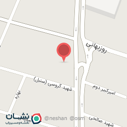 عکس دکتر هنگامه خوشه چین (کارشناس مامایی)