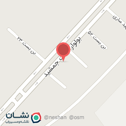 عکس فست فود پاچینی برشته