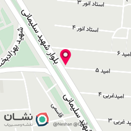 عکس تخمه ممتاز