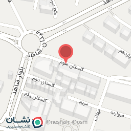 عکس قصاب باشی