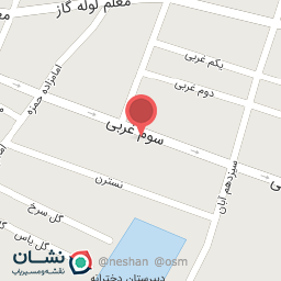 عکس حسینیه و زینبیه شهدای کربلا