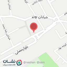 عکس پیتزا آلا