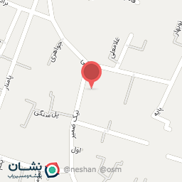 عکس پارس بگ