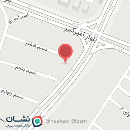 عکس مرغ گریل ذغالی هامبورگ