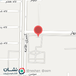 عکس سبزی فروشی و سبزی خرد کنی