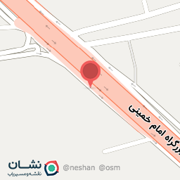 عکس مرغ رضا