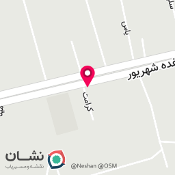 عکس رایان شبکه گستر