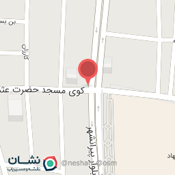 عکس دینام سازی استاد علی محمد حسنی