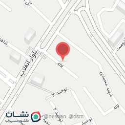 عکس امین لیفتراک