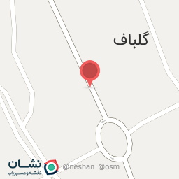 عکس مرغ ماهی عاقلی