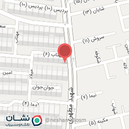 عکس دکتر رحیم نوروزی