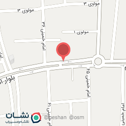 عکس فروشگاه رایان الکترونیک