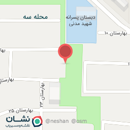 عکس بورس برنج محمدی