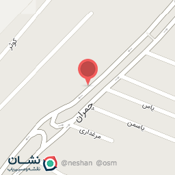 عکس یاسمن- برگشت