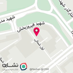 عکس تنظیم موتور وبرق خودرو محمد