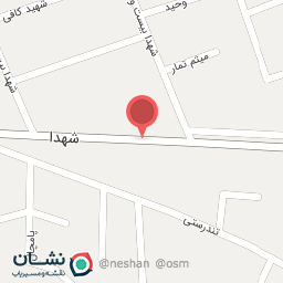 عکس شهدا ۲۹