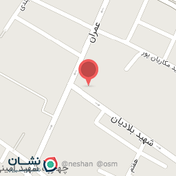 عکس کبابی و پاچینی حاتمی (گودرزی)