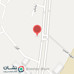 عکس پیتزا مجید