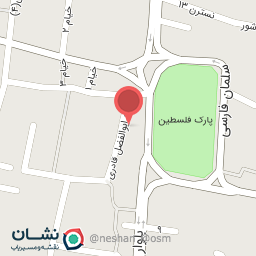 عکس پیتزا آندو