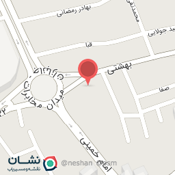 عکس مرغ و ماهی نگاری