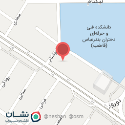 عکس نمایشگاه ماشین وطن دوست