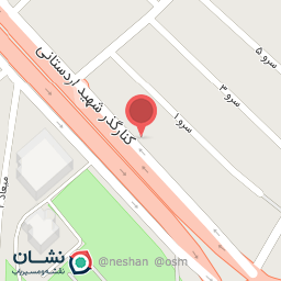 عکس پیتزا دو نی نی