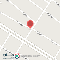 عکس نقاشی ماشین و ترکیب رنگ علی آبادی