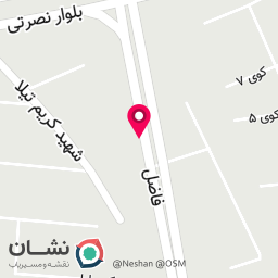 عکس غذای خانگی برکه