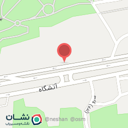 عکس فست فود نیکا