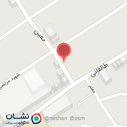 عکس کفش فدک