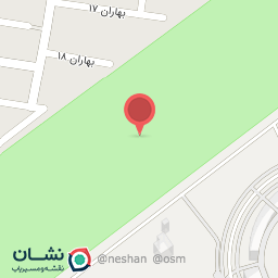 عکس سیب زمینی سرخ کرده ۳۰ بن