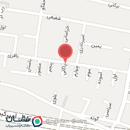 عکس موس برگر