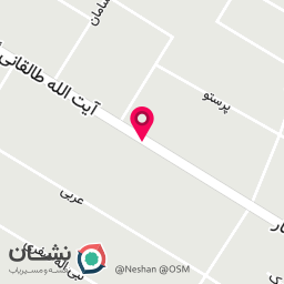 عکس فست فود ونوس