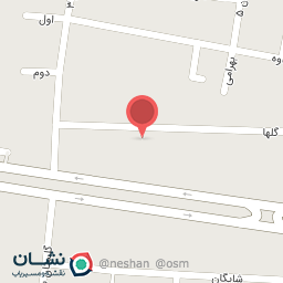 عکس کارواش رضا