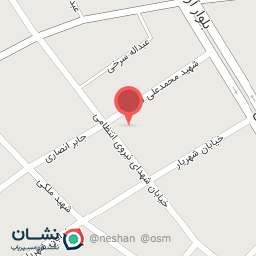 عکس شهدای نیروی انتظامی