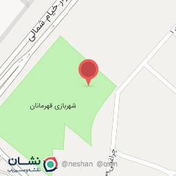 عکس فیل پرنده